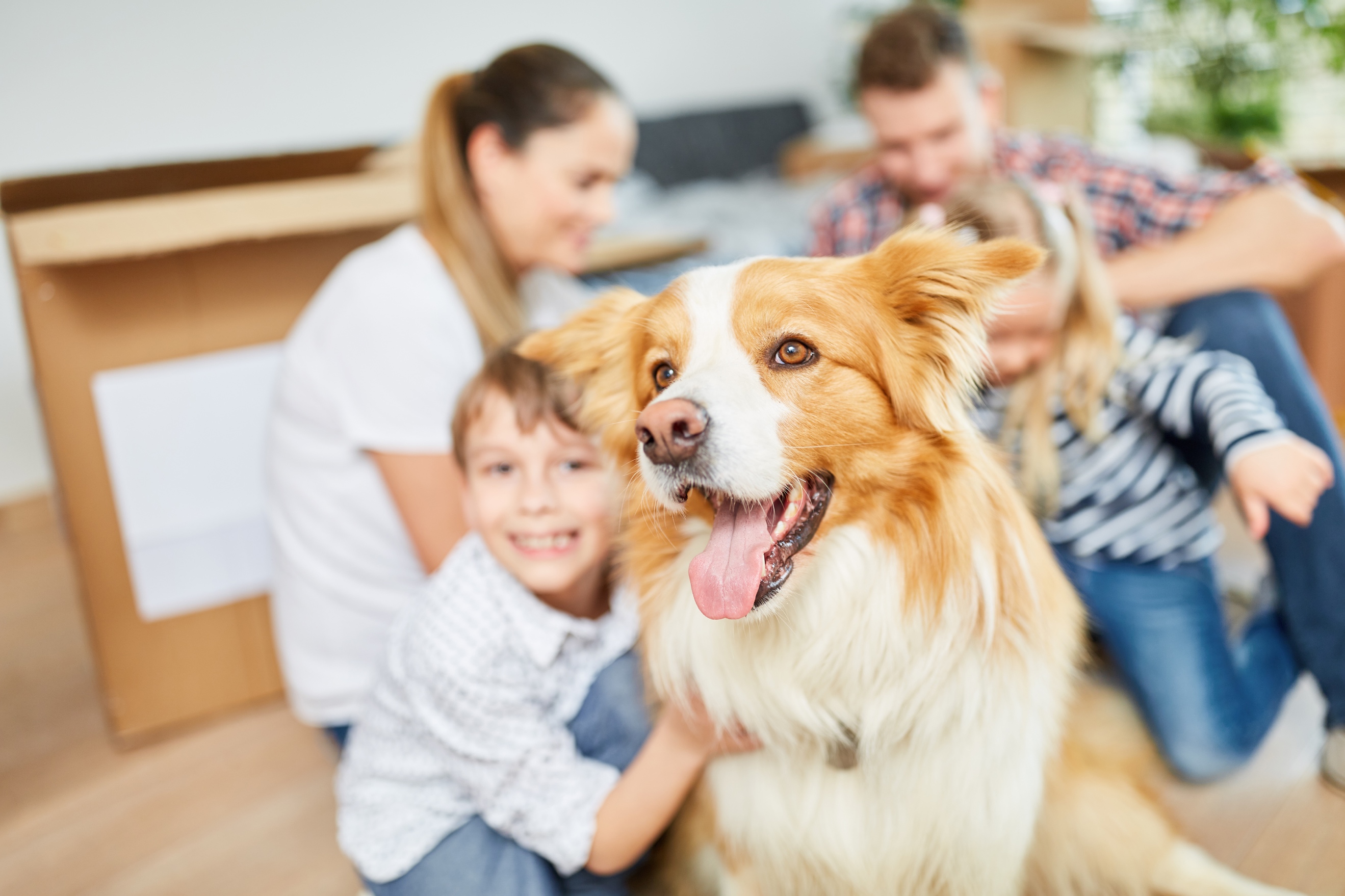 Zdroj: Bigstockphoto.com